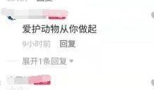 热门爆料野猪视频,揭秘网络爆红野猪视频背后的真相