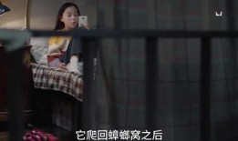 小汪姐姐爆料视频大全最新,揭秘娱乐圈幕后真相